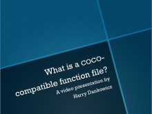 What is a COCO_compatible function file?